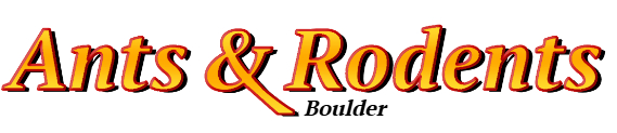 Boulder Ant Exterminator & Rodent Control Company Logo